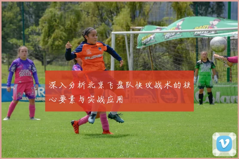 深入分析北京飞盘队快攻战术的核心要素与实战应用