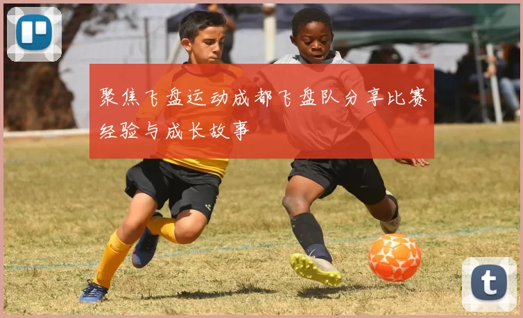 聚焦飞盘运动成都飞盘队分享比赛经验与成长故事