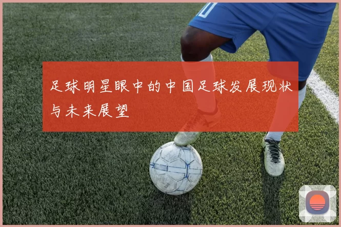 足球明星眼中的中国足球发展现状与未来展望