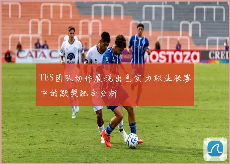 TES团队协作展现出色实力职业联赛中的默契配合分析