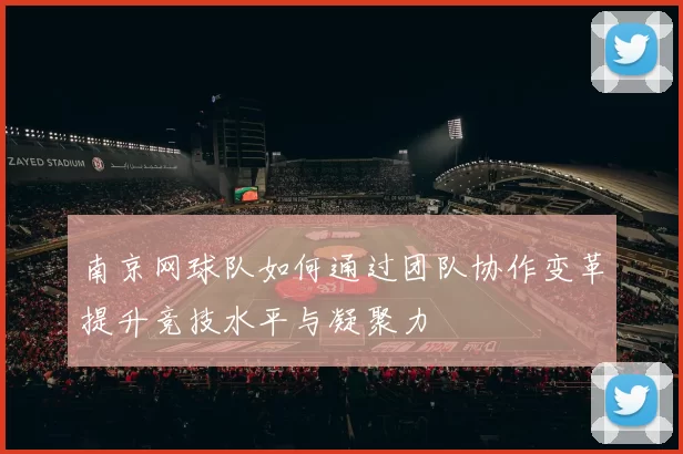 南京网球队如何通过团队协作变革提升竞技水平与凝聚力