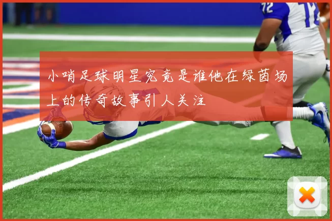 小哨足球明星究竟是谁他在绿茵场上的传奇故事引人关注