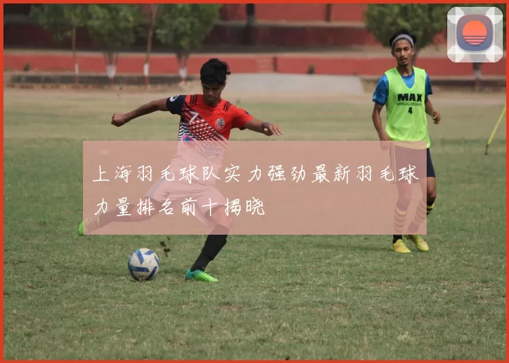 上海羽毛球队实力强劲最新羽毛球力量排名前十揭晓