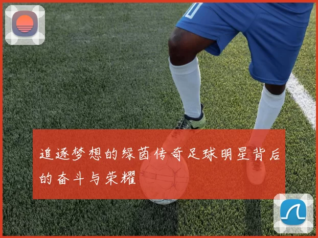 追逐梦想的绿茵传奇足球明星背后的奋斗与荣耀