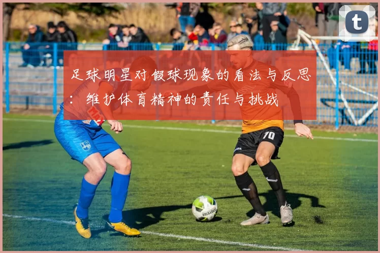 足球明星对假球现象的看法与反思：维护体育精神的责任与挑战