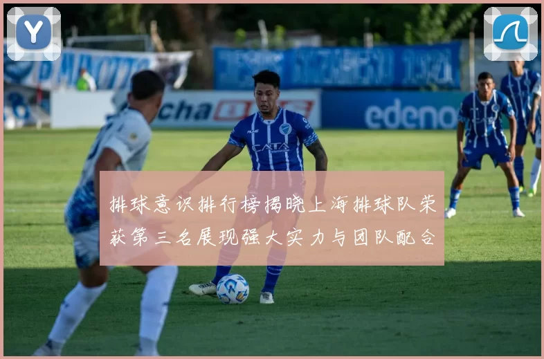 排球意识排行榜揭晓上海排球队荣获第三名展现强大实力与团队配合