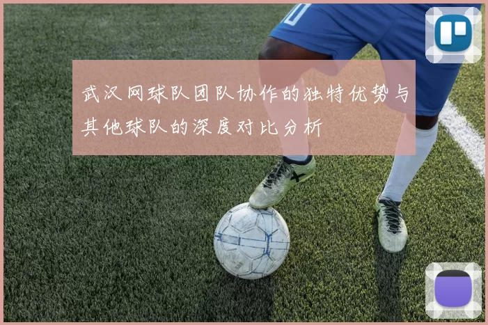 武汉网球队团队协作的独特优势与其他球队的深度对比分析