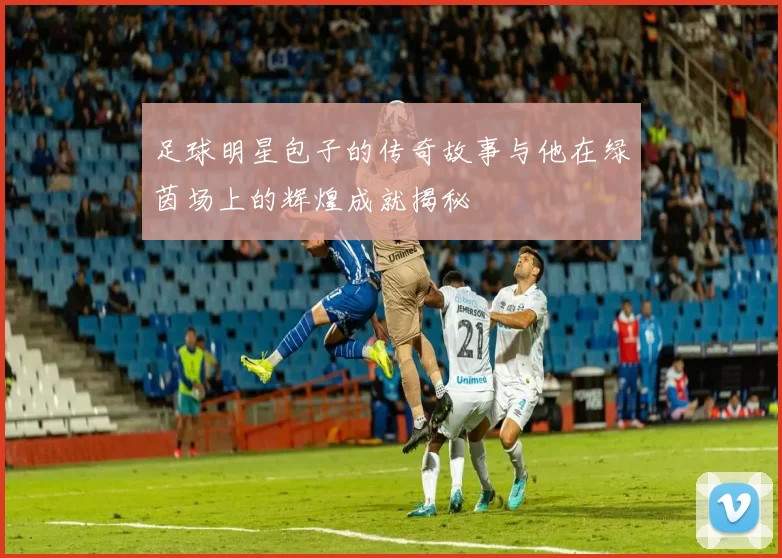 足球明星包子的传奇故事与他在绿茵场上的辉煌成就揭秘