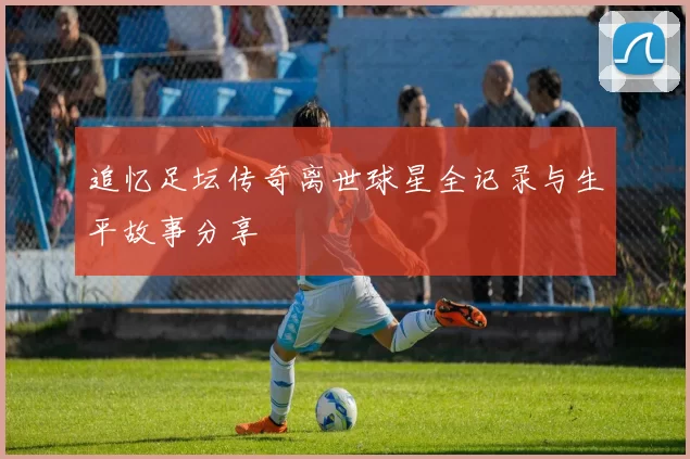 追忆足坛传奇离世球星全记录与生平故事分享