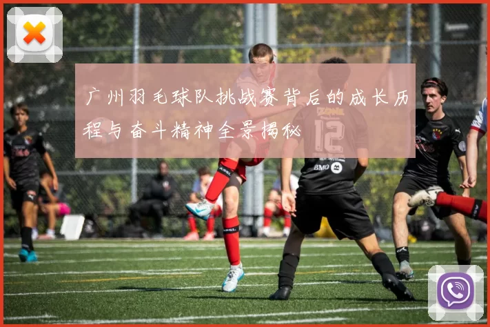 广州羽毛球队挑战赛背后的成长历程与奋斗精神全景揭秘