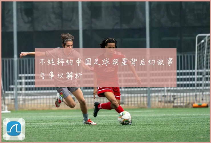 不纯粹的中国足球明星背后的故事与争议解析