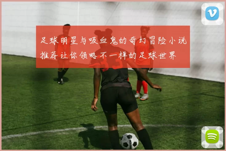 足球明星与吸血鬼的奇幻冒险小说推荐让你领略不一样的足球世界