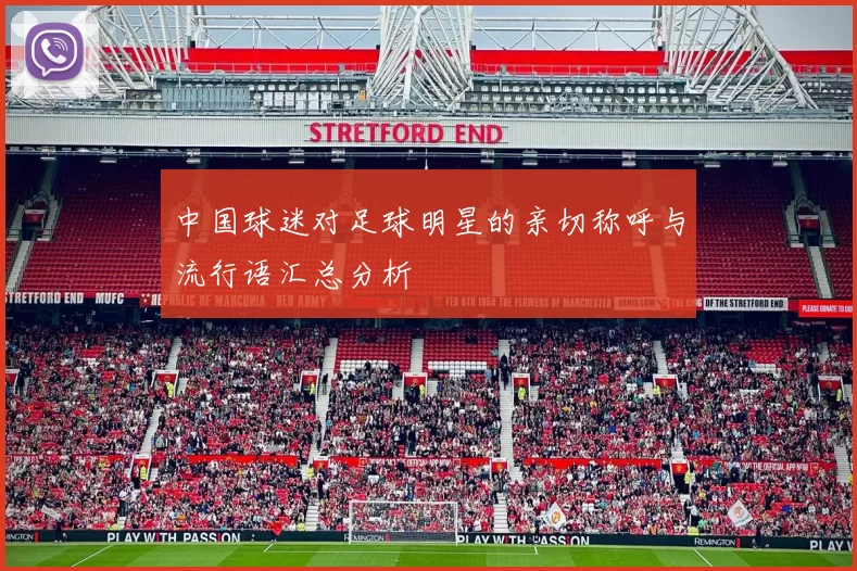 中国球迷对足球明星的亲切称呼与流行语汇总分析