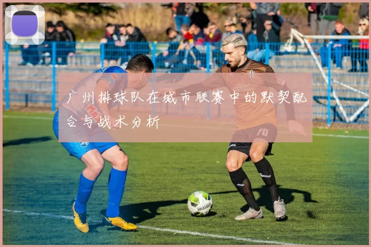 广州排球队在城市联赛中的默契配合与战术分析