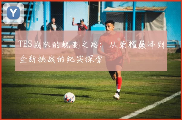 TES战队的蜕变之路：从荣耀巅峰到全新挑战的纪实探索