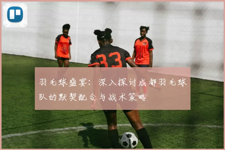 羽毛球盛宴：深入探讨成都羽毛球队的默契配合与战术策略