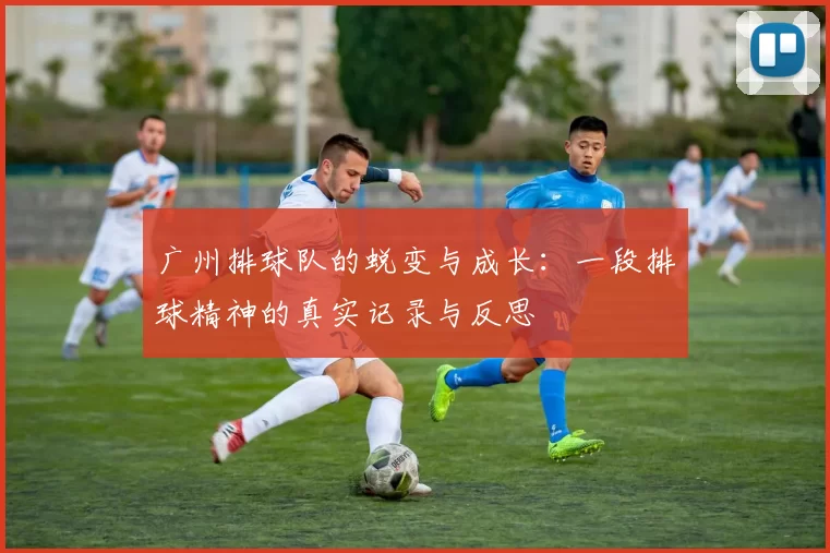 广州排球队的蜕变与成长：一段排球精神的真实记录与反思
