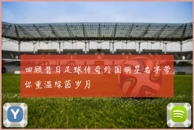 回顾昔日足球传奇外国明星名字带你重温绿茵岁月