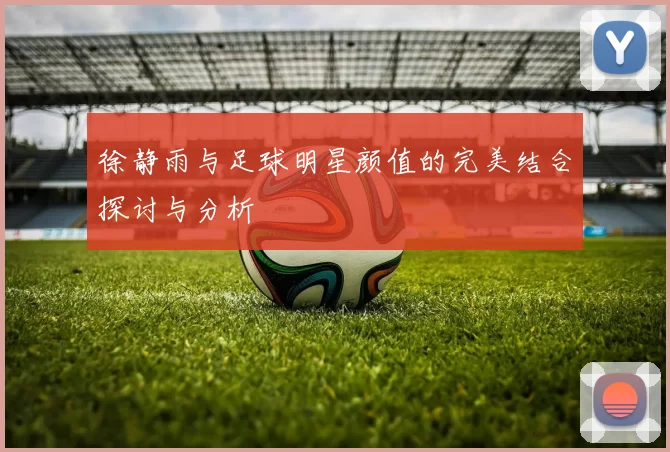 徐静雨与足球明星颜值的完美结合探讨与分析