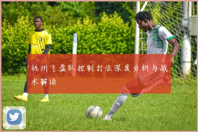 杭州飞盘队控制打法深度分析与战术解读