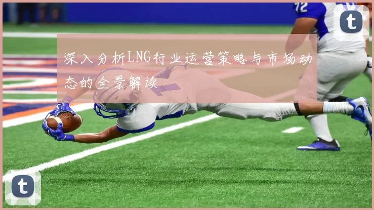 深入分析LNG行业运营策略与市场动态的全景解读