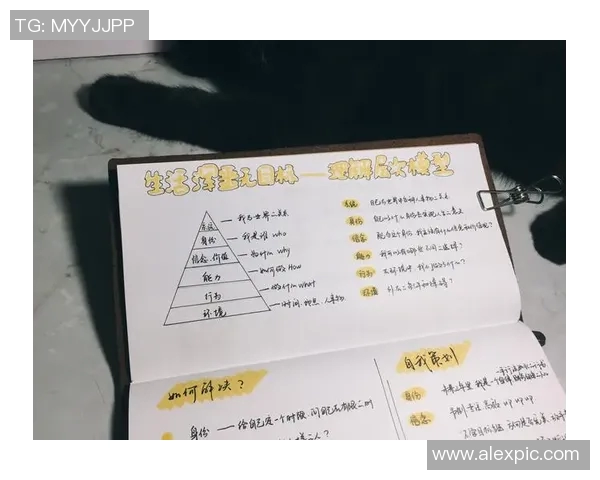 杨军深度解析网球技巧与心得分享助你提升球技的秘密宝典