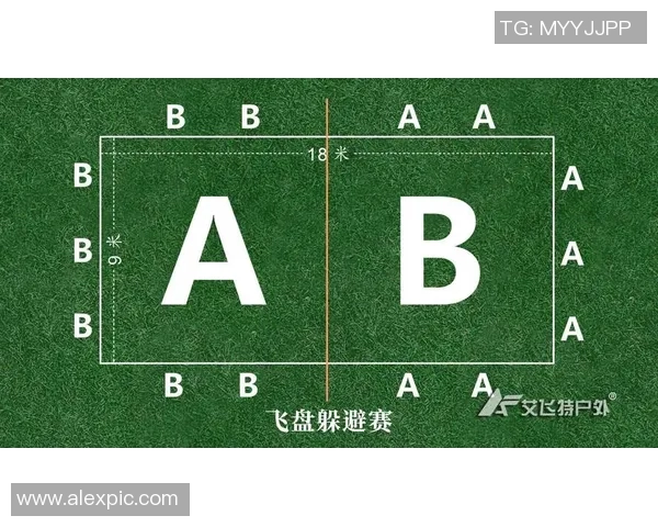 杭州飞盘队与南京飞盘队赛后分析力量对比与战术探讨