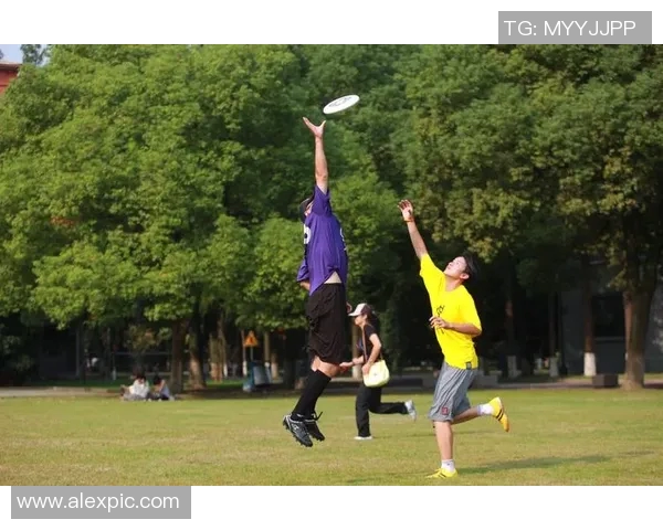 上海飞盘队在滑板精英赛中的强劲表现与技术分析