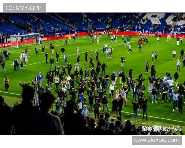 西甲联赛场馆与球迷体验分析