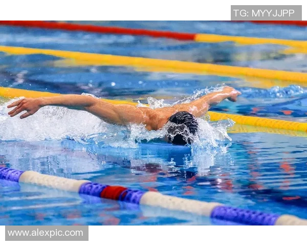 蝶泳技巧提升与体能训练的综合方案与训练方法探讨