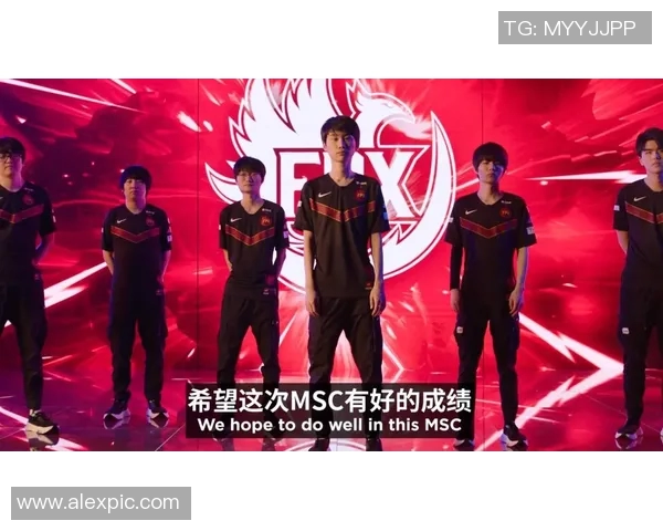 数据分析揭示FPX战队近期状态表现及其影响因素探讨